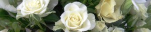 White roses, gumnuts and rich dark greenery