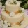 2 tier butter iced wedding cake decorated with Mini Roses