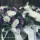 Bridemaids' posies of purple lisianthus, ivory roses and autumn hydrangea