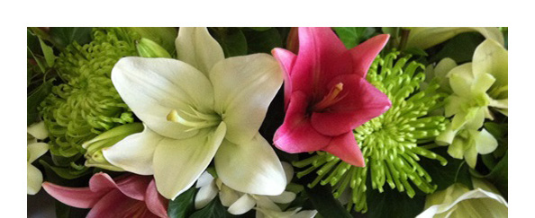 Pink & white lilies and disbuds