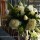 Cylinder arrangement of peonies, hydrangea, lilies and lissianthas